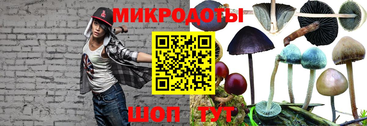 Галлюциногенные грибы Psilocybine cubensis Похвистнево