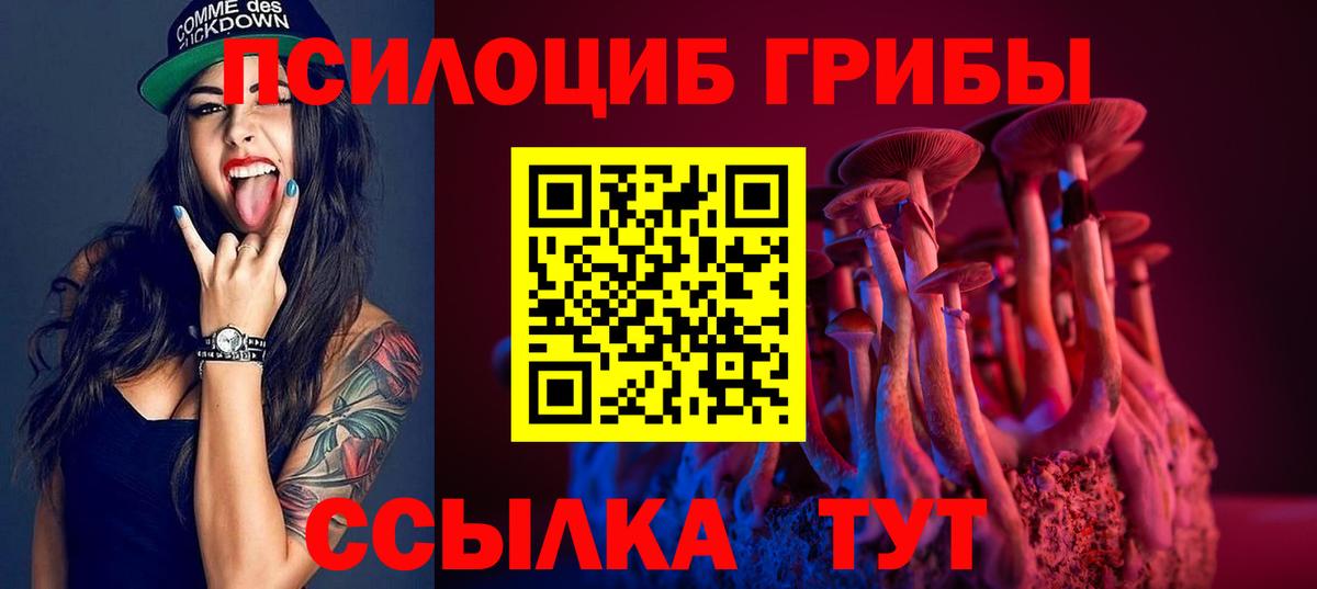 Псилоцибиновые грибы Psilocybe  как найти   Похвистнево  Вход с VPN 